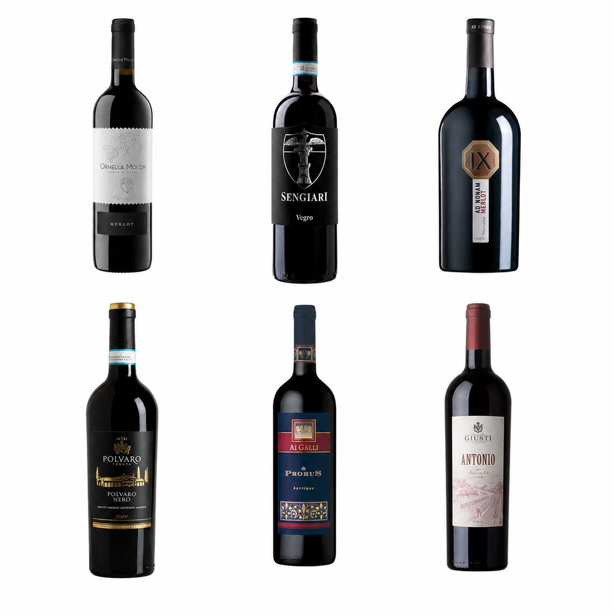 Degupaket Rot 6 Flaschen