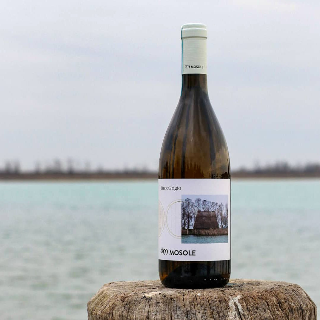 Pinot Grigio