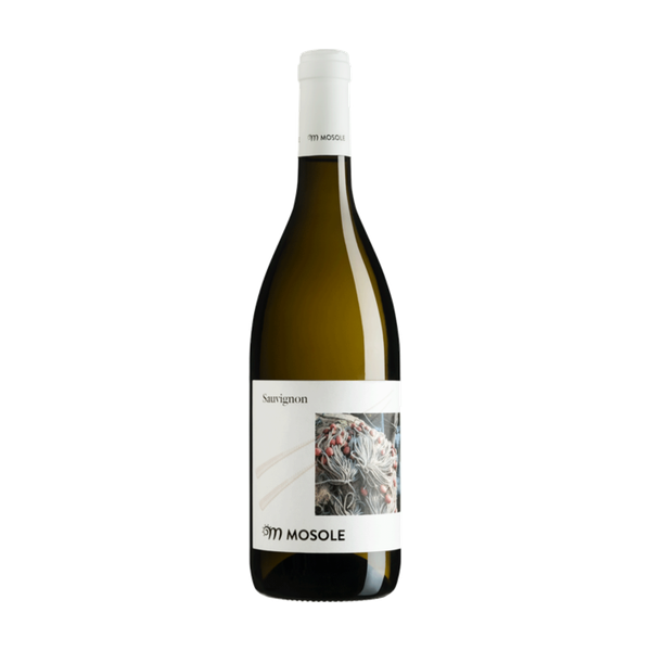 Sauvignon